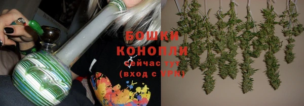 стафф Бронницы