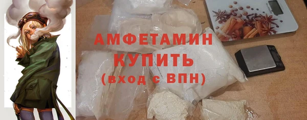 мдпв Бородино