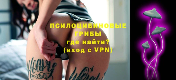 мдпв Бородино
