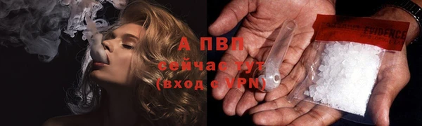 стафф Бронницы