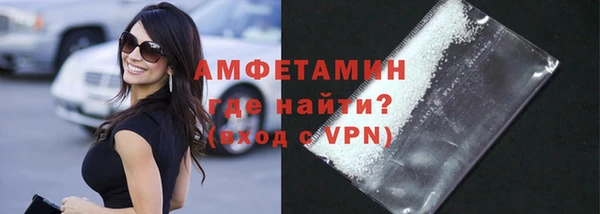 мдпв Бородино