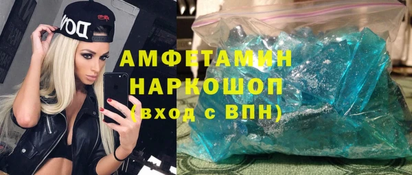 мдпв Бородино