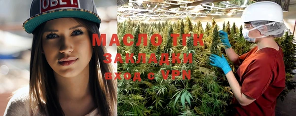 мдпв Бородино