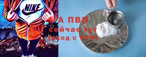 мдпв Бородино