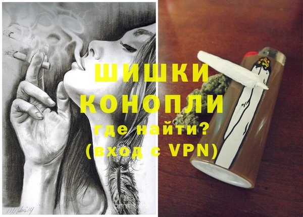 мдпв Бородино